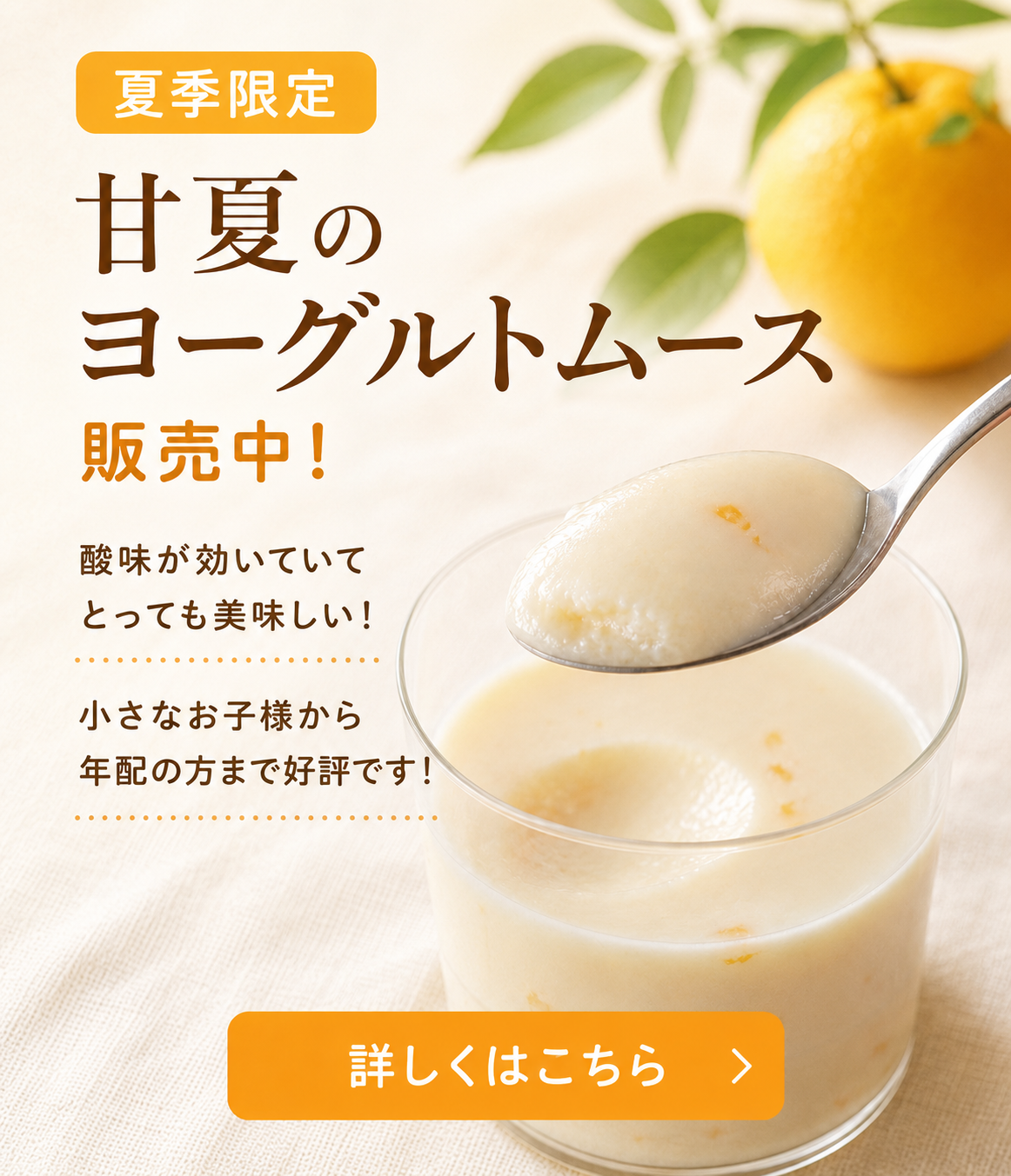 サマーキャンペーン